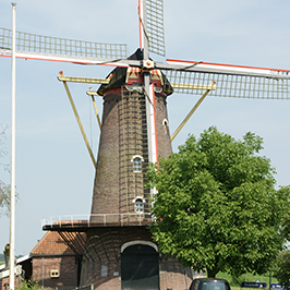 Hooge-Zwaluwe-Zeldenrust